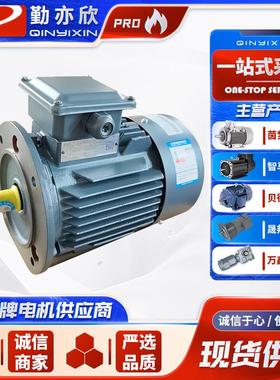 1TLOO1可调速三相异步电动机 贝得电机减速电机 震动电机震动马达