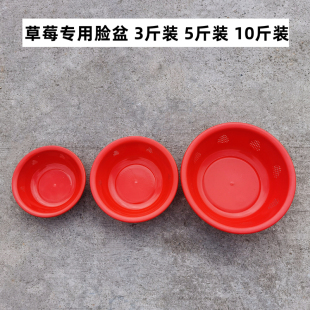 草莓盆盆红盆鸡蛋盆塑料盆小号加厚水果盆透气小盆脸盆子