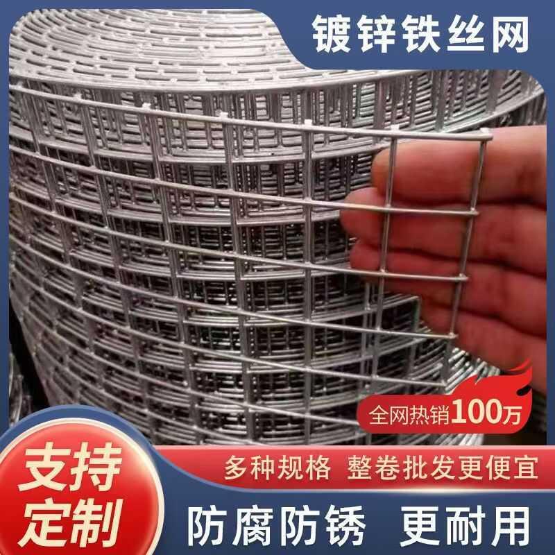 镀锌钢丝网加粗防锈铁丝网鸡鸭养殖专用网鸽鸟兔笼鼠蛇防护玉米网