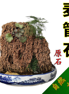 天然麦管石 吸水石假山盆景上水石 水秀石芦管石鱼缸造景