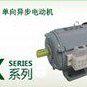 JX7112 370W 2800转 220V  电容运转电机
