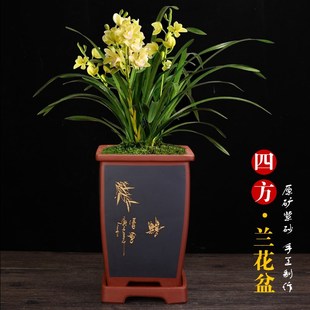 宜兴原矿紫砂兰花专用盆精美四方手工刻绘透气绿萝君子兰盆景花盆