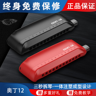 VIKING AGE专业演奏奥丁odin12孔48音半音阶口琴新手初学入门学生
