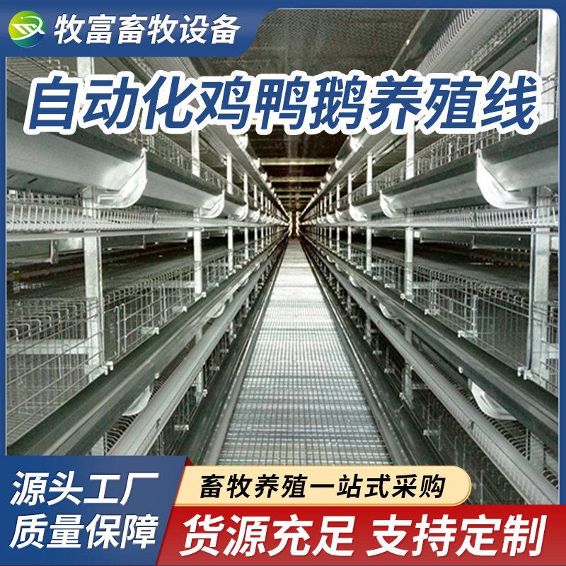 厂家生产养鸡设备养鸡料线自动喂料线全自动上料设备