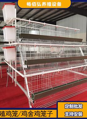 3层5门阶梯蛋鸡笼养殖厂工厂阶梯型A型鸡笼热镀锌可供外贸