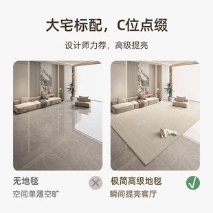 客厅高级感毛毯地垫除尘踩脚沙发地毯轻奢高级耐脏茶几毯卧室家用