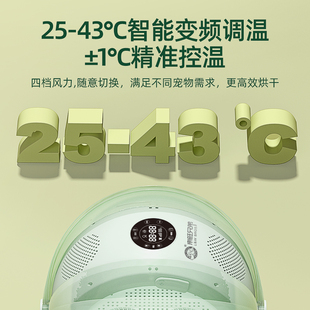 宠物烘干箱全自动洗猫咪狗狗洗澡烘干机家用吹风机吹水机可折叠