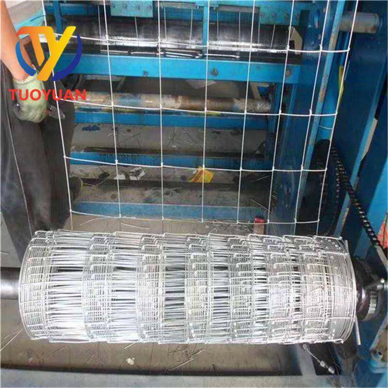 养殖钢丝网养牛羊鹿马围栏镀锌铁网现货果园围栏网草原铁丝网,金属材料及制品,丝网/金属网,淘宝优惠券,粉丝福利购,淘宝优惠卷