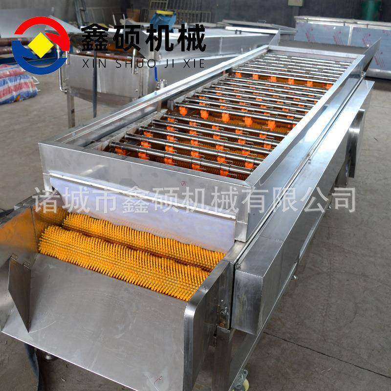 平行毛辊清洗机1000型芋头紫薯清洗去皮机生蚝高压去泥机厂家