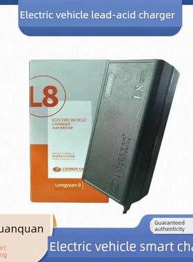 龙源泉L8智能充电经典电动车充电器48V60V72V适用于各种电动汽车