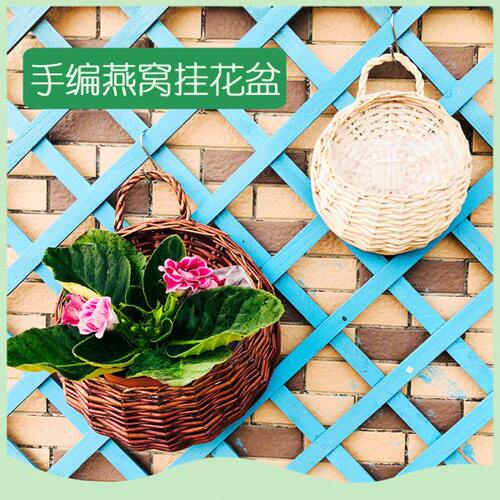 藤编挂墙花盆墙上壁挂创意花篮式绿萝挂壁编织竹编垂吊花盆