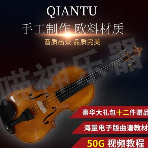 丁塔斯B03实木手工虎纹欧料小提琴演奏表演专业级高档乐器小提琴