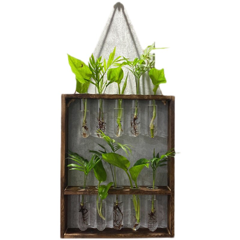 木质工艺品创意框架试管瓶挂墙水培瓶小新家居装饰图片