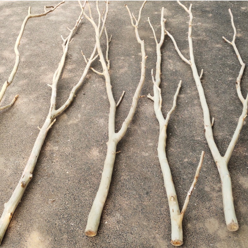 天然干树枝树杈子枯树枝干屏风仿真树架子树枝灯去皮树枝挂墙景观