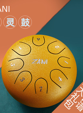 ZNI专尔空灵鼓初学者钢舌鼓忘忧鼓空明鼓音级色空鼓