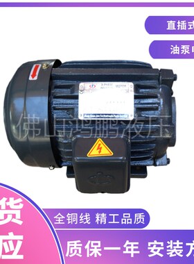 液压油泵内轴电机1 2 3HP 0.75KW 1.5 2.2 3.75KW三相液压站电机