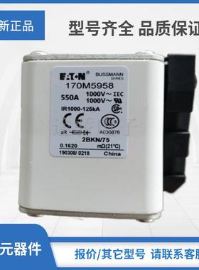 熔断器170M5952/5953/5954/5955/5956/5957/5958/5959/5960/5961
