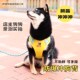 背心式 狗狗牵引绳柴犬胸背带柯基犬专用幼犬可调节遛狗绳中小型犬