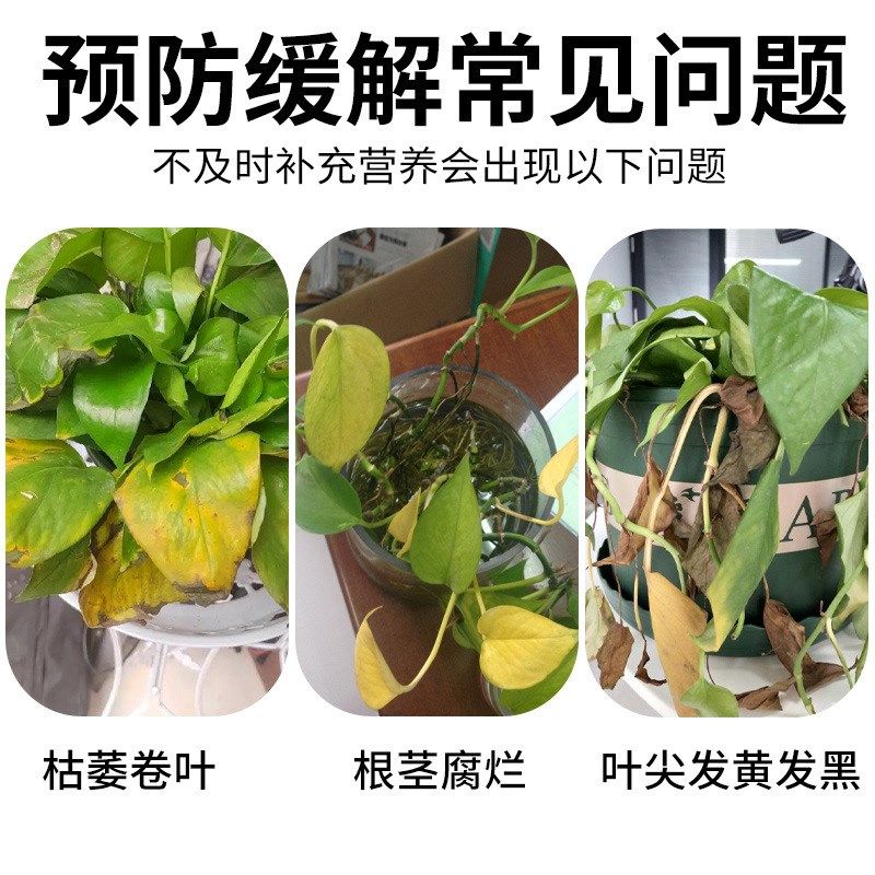 绿萝营专用养液家用植物盆栽吊兰水培通用型绿箩大叶防黄叶肥料,鲜花速递/花卉仿真/绿植园艺,家庭园艺肥料,淘宝优惠券,粉丝福利购,淘宝优惠卷
