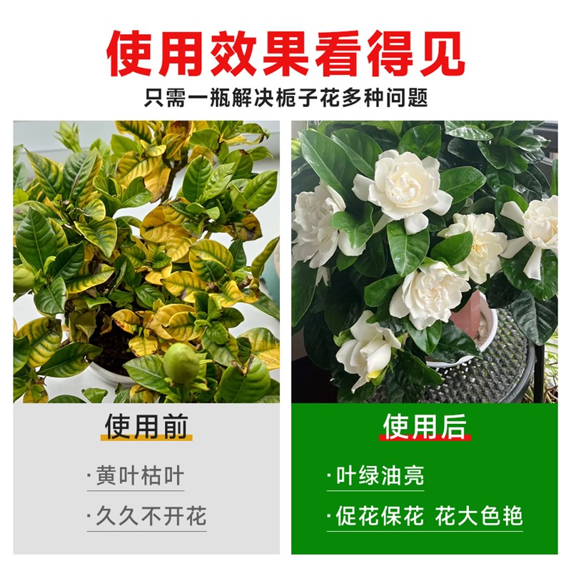 栀子花营养液专用肥料开花绿植物家用养花专用盆栽通用型酸性花肥