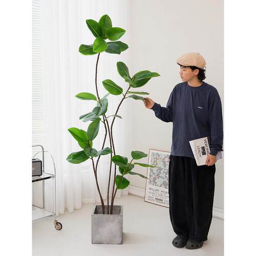 彷真绿植橡皮树客厅大盆栽室内装饰高端轻奢彷生假植物落地摆件树