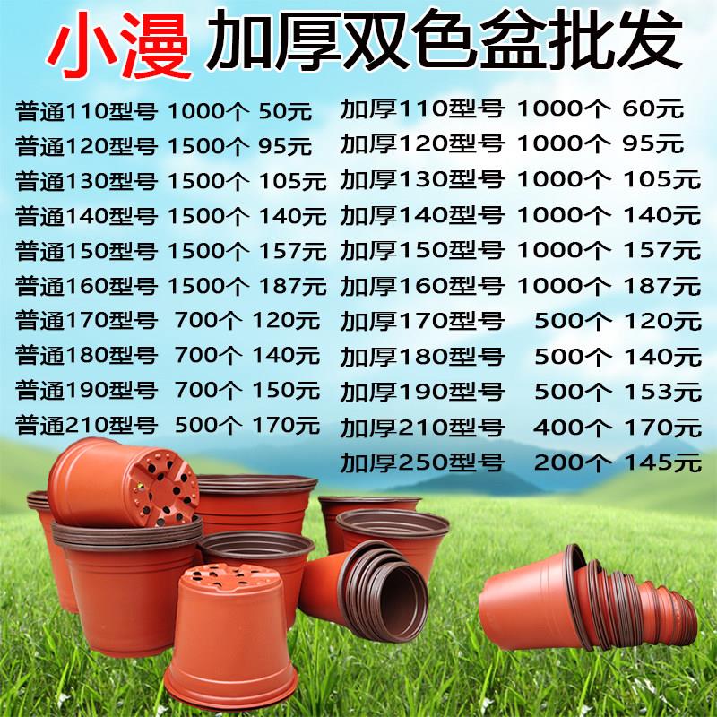 双色盆育苗盆加厚多肉种植盆外红内黑塑料盆一次性简易花盆营养钵