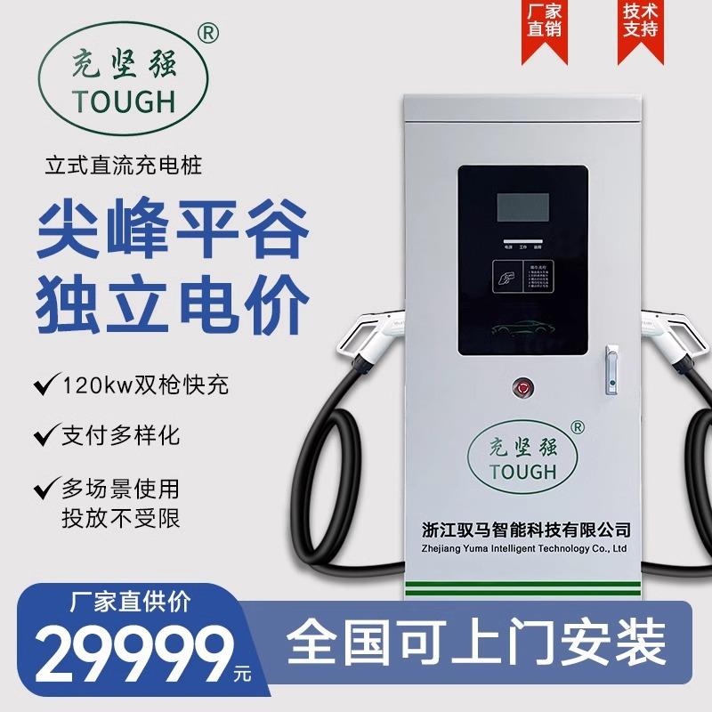 大功率直流充电桩30-40-60-320kw单双枪电动车新能源汽车快充立式