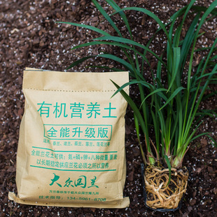 兰草土专用土兰草土专用营养土养兰植料蝴蝶兰盆栽兰花大众国兰场