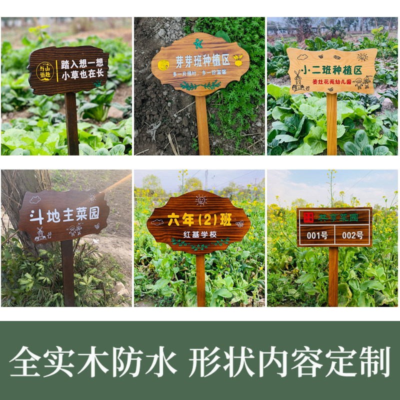 实木植物标签牌菜园幼儿园木质插地牌户外指示标识牌告示木牌园艺图片