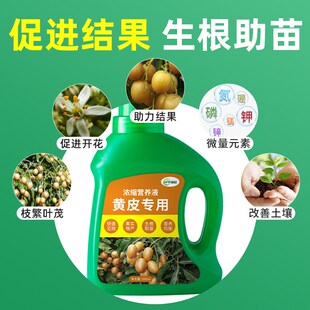 黄皮树肥料黄皮果专用肥黄皮营养液复合果树开花结果有机水溶促果