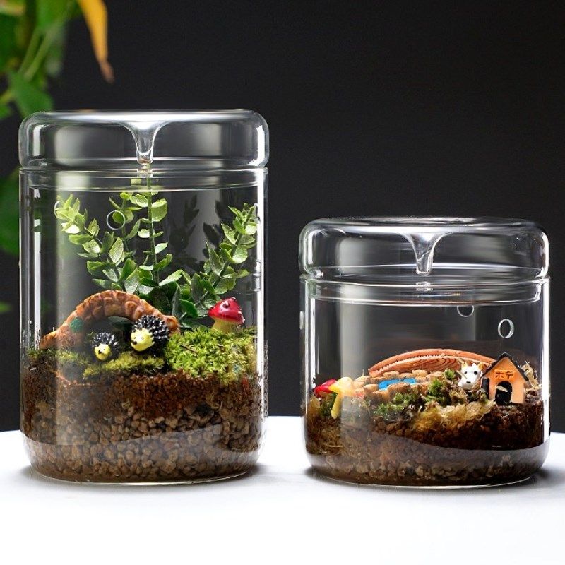 DIY微景观植物k苔藓瓶高硼硅玻璃露集杯桌面生态瓶带孔带罩免打理