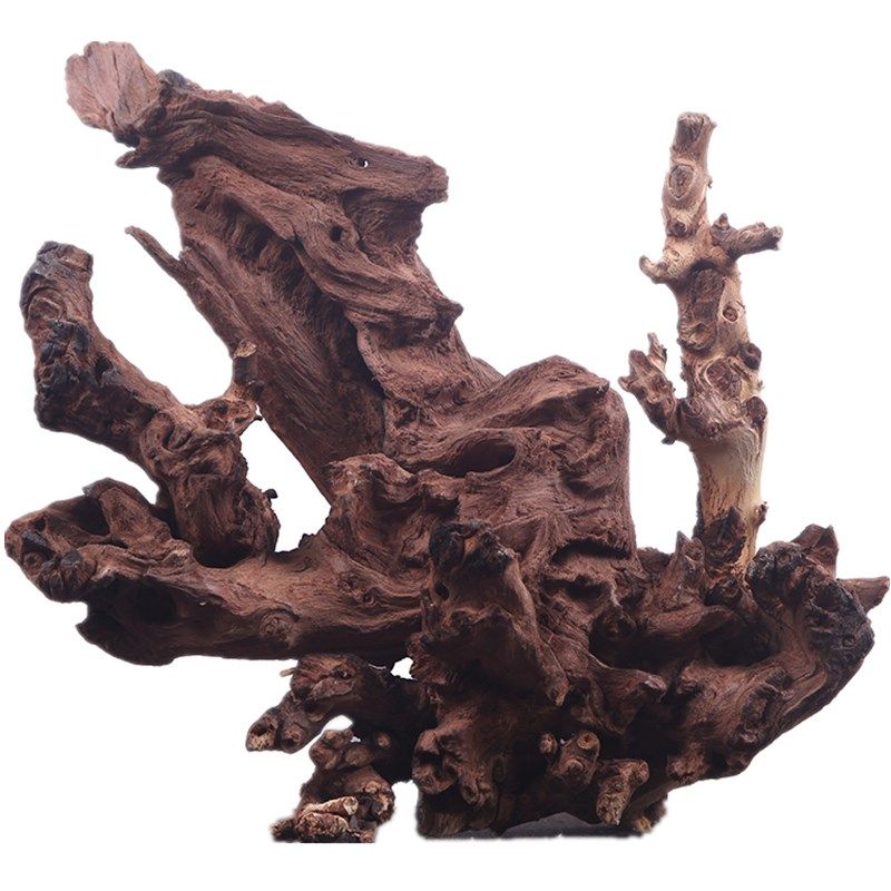 鱼缸水沉木造景珊瑚天然枯木树根根雕摆件南美草缸溪流水陆雨林缸