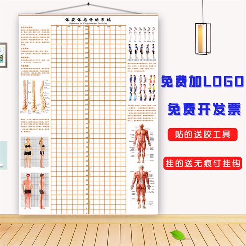 体态评估图健身房体测表瑜伽私教身体形体测评脊椎修复墙壁画装饰