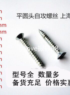 平头自攻螺丝轨道螺丝 3.5x12 16mm 4x25 35 50mm