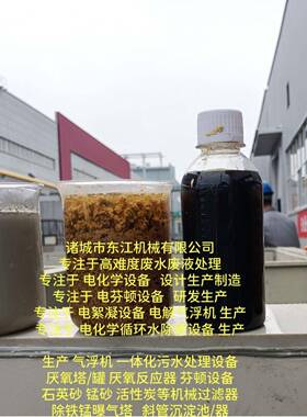 电化学水处理器 电催化氧化电芬顿反应器  芬顿塔 电解气浮机