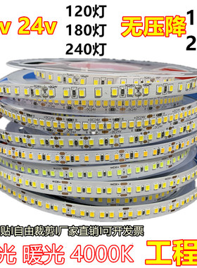 无压降灯带12v24v8mm宽180灯240灯10米20米无降压红绿蓝黄LED软条