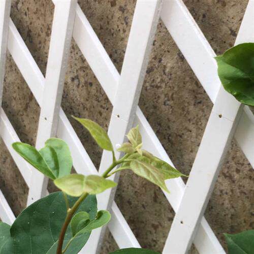 阳台装饰白色实木伸缩网格木篱笆栅栏围栏LM拉网爬藤攀爬架网格花