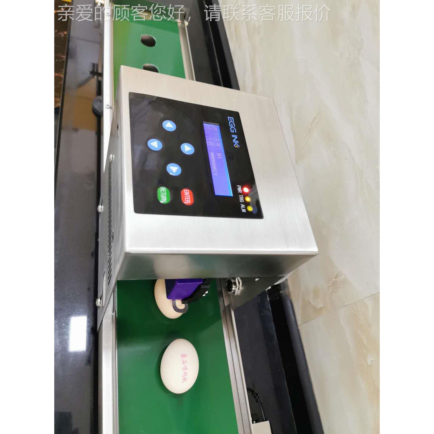 小型鸡鸭蛋自动蛋上自场JBO动清洗机 养殖鸡鸭鹅蛋洗蛋蛋机 定制