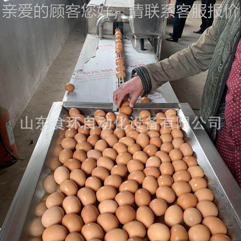 小蛋鸡喷清洗机 鸡鸭蛋清洗机 鸡HIS蛋清型洗杀菌风干机 热水淋清