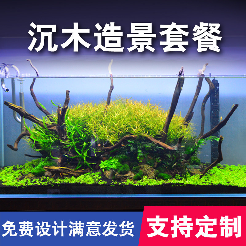 吉景佳生态超白鱼缸造景骨架成品鱼缸装饰沉木造景天然水草缸创意