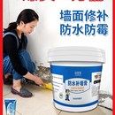 绿管家fsbqg防水补墙膏墙面修补翻新面乳腻子腻子乳胶漆批嵌材料