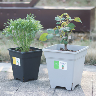 青山控根透气树脂花盆月季 铁线莲种植方盆绿萝加厚圆口塑料加仑盆