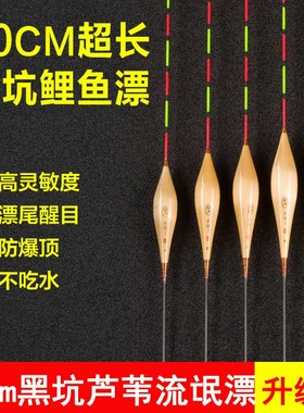 正卢60cm600长芦苇浮漂加长鱼漂黑坑加粗长尾行程鲤鱼流氓漂超长