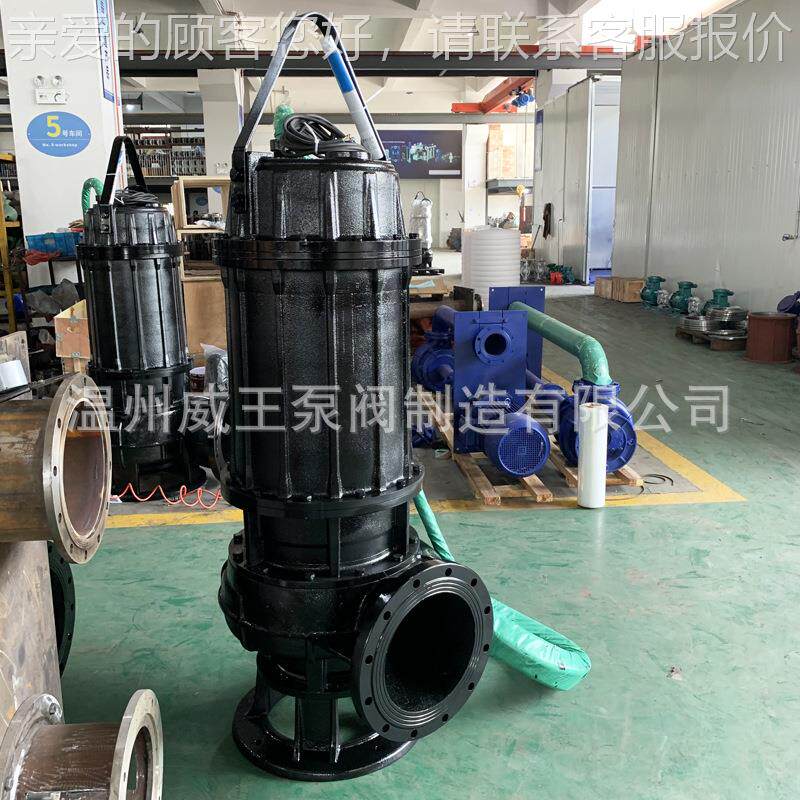 大口JJZ径水排污，200QW300-7-11，排污泵，污五水共治排污泵泵