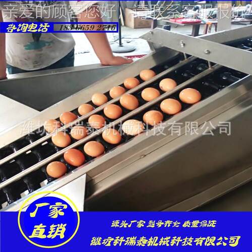 排三六排蛋鸡清洗机 快速洗鸡设备 生产鸡蛋蛋清洗流RKU水线设备