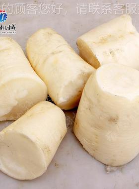 厂家供子应切机OBG丝瓜南瓜段芦 笋黄瓜莴苣茄苦瓜甜瓜切割多段