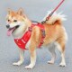 狗狗牵引绳防挣脱宠物胸背带柴犬柯基金毛中大型犬背心式 小狗绳子