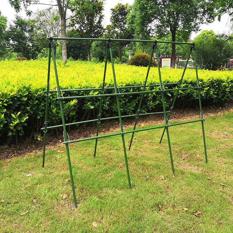 家庭种植架菜园蔬菜阳台支撑架大棚骨架户外种菜丝瓜豆角黄瓜爬藤,鲜花速递/花卉仿真/绿植园艺,花架,淘宝优惠券,粉丝福利购,淘宝优惠卷