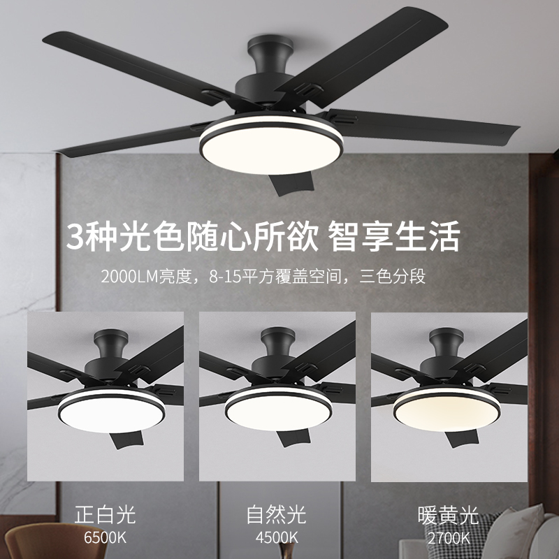 风扇灯大风力智能吸顶灯客厅餐厅饭厅2023新款简约装饰变频吊扇灯