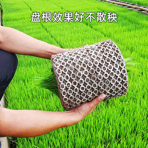 生升农业水稻育秧基质早中晚稻水稻育苗育秧基质营养土插秧机60升